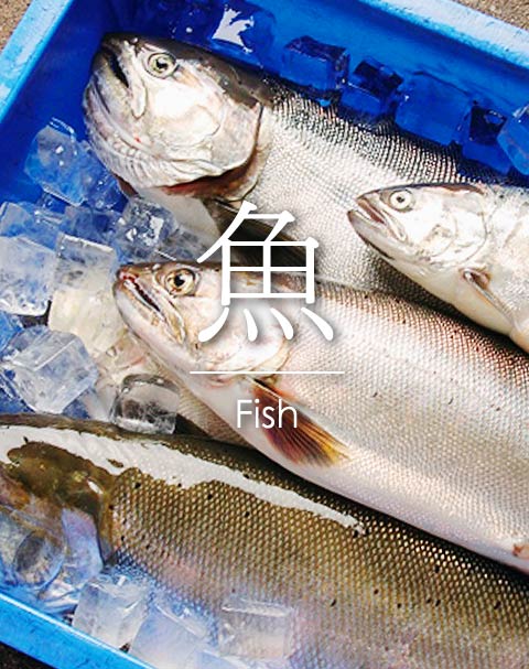 Lake Fish(Biwa Trout) 