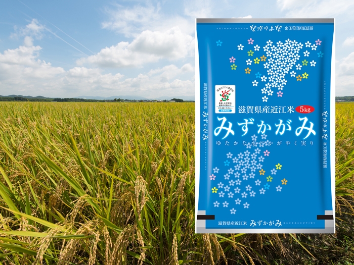 2013年秋デビューのみずかがみ