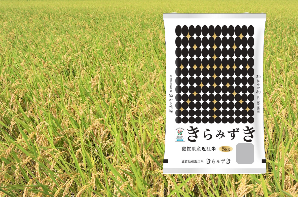 2023年秋のきらみずき