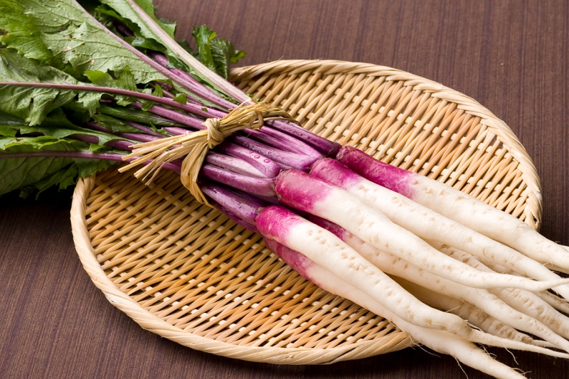 日野菜