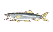 コアユ