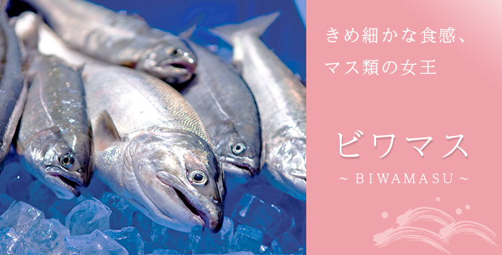 ビワマス