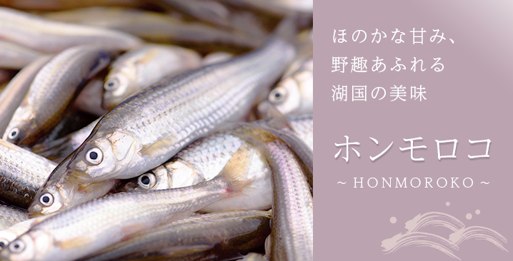 ホンモロコ