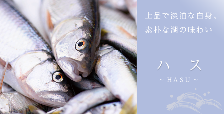 ハス