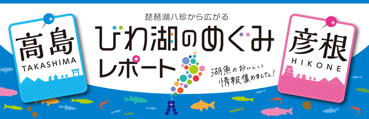 琵琶湖八珍から広がる　びわ湖のめぐみレポート　湖魚のおいしい情報集めました！　高島市　彦根市