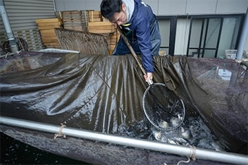 魚万商店