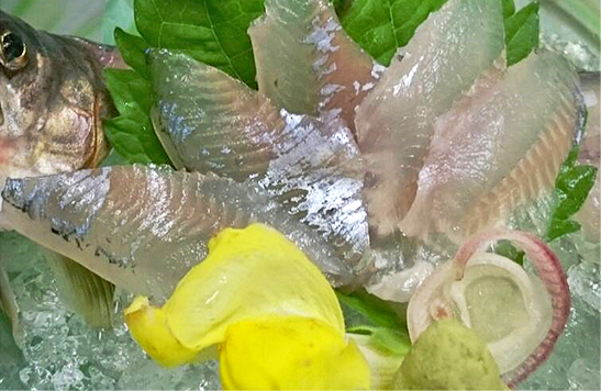 長浜尾上料理旅館 うを吉