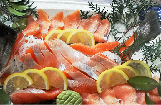養鱒センターきたがわ