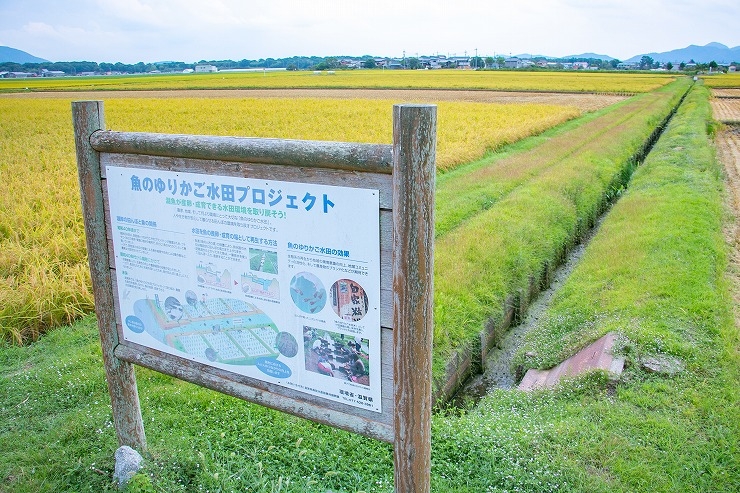魚のゆりかご水田プロジェクト