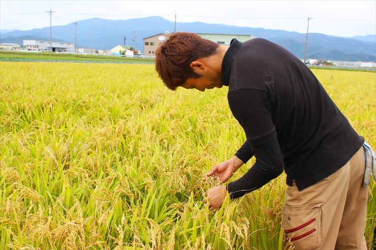 「自然に負荷をかけずにおいしいものをつくりたい」と始めた、もりかわ農場の「JAS有機オーガニック米」
