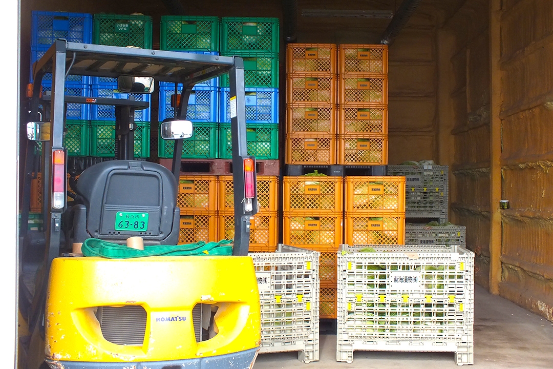 倉庫に高く積み上げられているのは出荷用の白菜