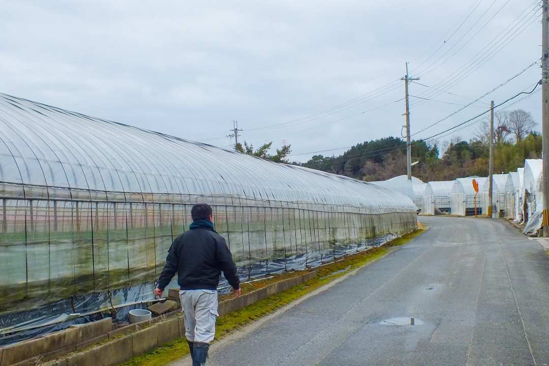 「台風、酷暑、寒波など不安定な気候で野菜価格は高騰しがち。でも、青ネギは常備野菜として常に冷蔵庫に入れておいてほしいから、安定して出荷できるようにもっとハウスを増やしていきたいんです。」と猪飼さん