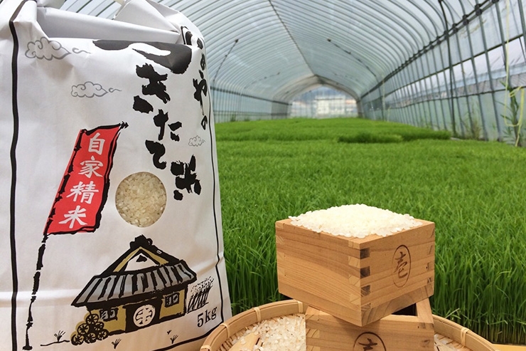 森元さんにおいしく食べられるお米の炊き方を伝授してもらいました。