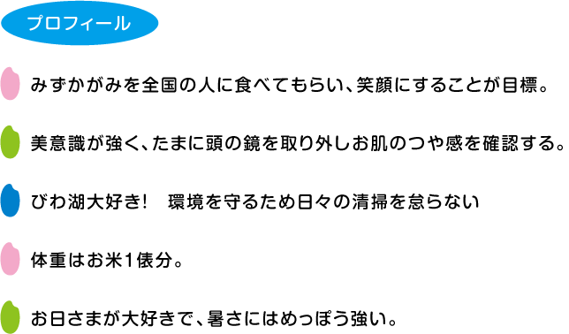 みずかがみんプロフィール。みずかがみを全国の人に食べてもらい、笑顔にすることが目標。美意識が強く、たまに頭の鏡を取り外しお肌のつや感を確認する。自然が大好き。環境を守るため日々の掃除を怠らない。体重はお米1俵分。お日さまが大好きで、暑さにはめっぽう強い。びわ湖を汚す人を見つけたら、しゃもじで叩いて注意する。