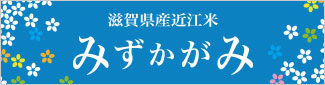 滋賀県産近江米「みずかがみ」の情報