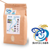 魚のゆりかご水田米