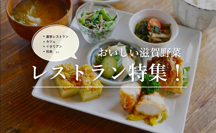 おいしい滋賀野菜 レストラン特集
