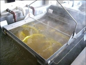 種もみ温湯消毒