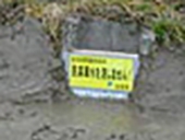 止水板