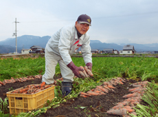 収穫作業中の土田さん