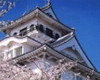 長浜城（長浜城歴史博物館）