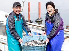 ニゴロブナ産地レポート