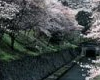 琵琶湖疏水