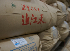 近江米