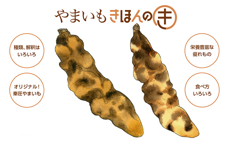 やまいものきほんのき