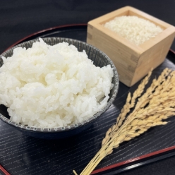 ごはん
