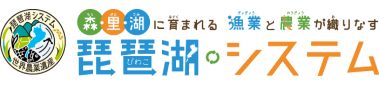 琵琶湖システム