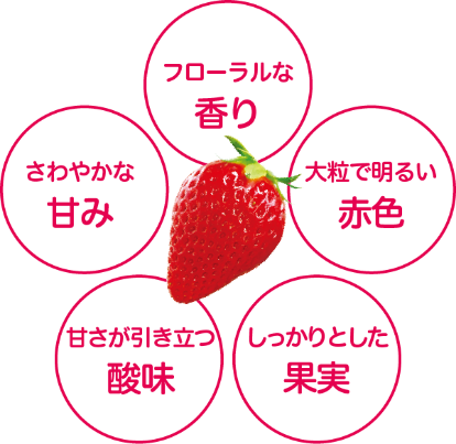 みおしずくの特徴