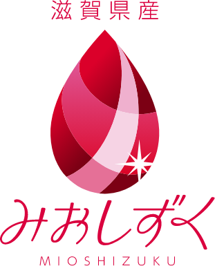 みおしずく デザイン