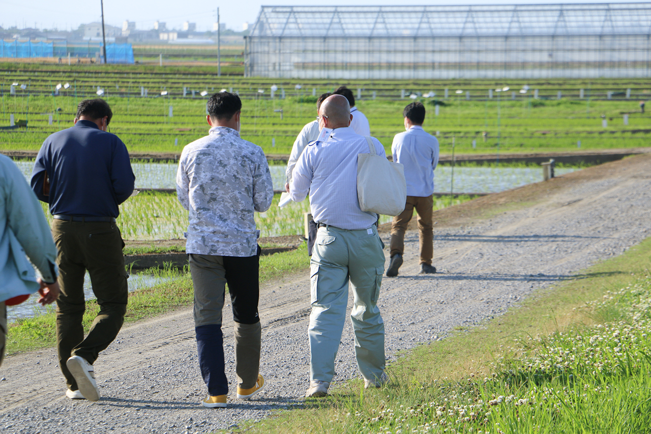 歩きながらトーク