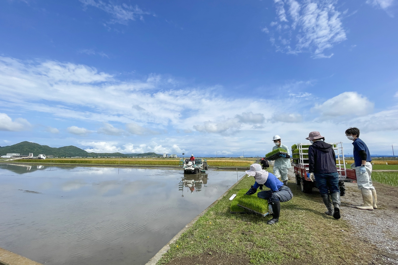 環境に配慮した栽培方法（環境こだわり栽培）に取り組む田んぼ