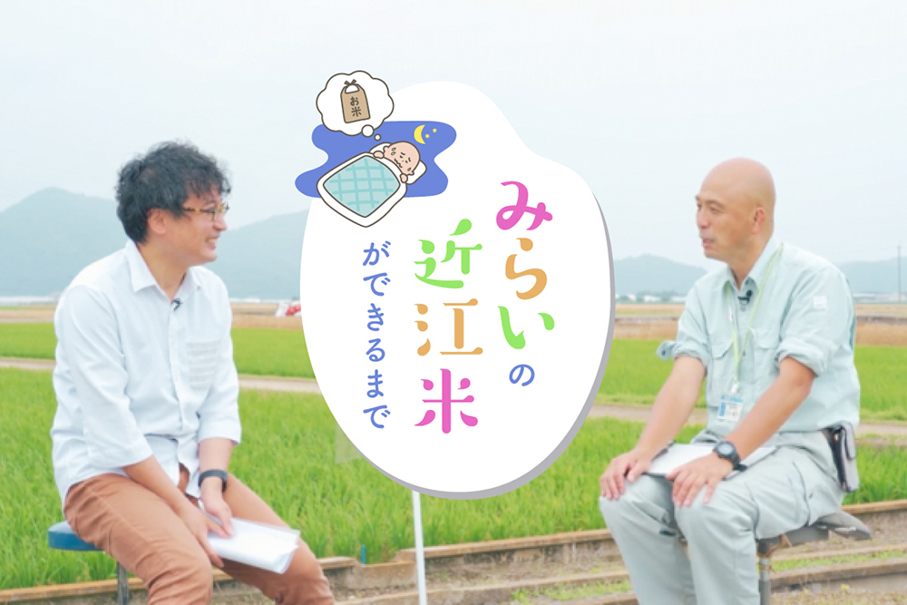 みらいの近江米ができるまで