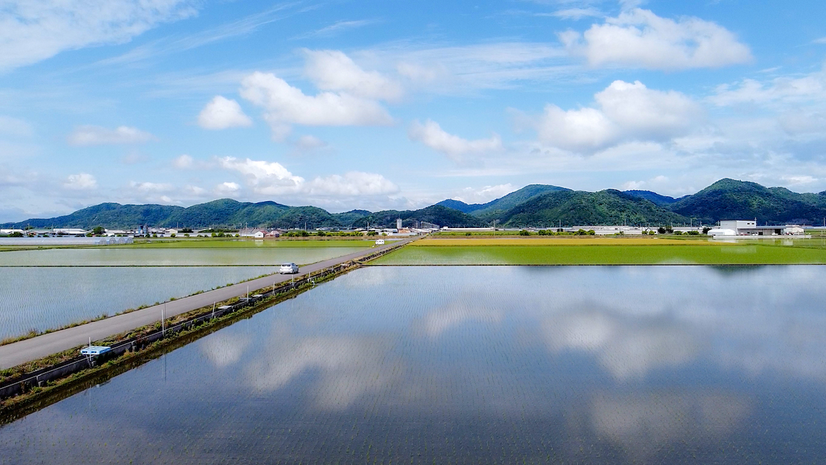 近江八幡市大中