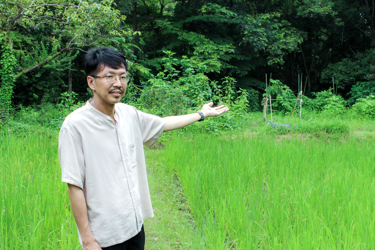 弥生時代に始まる米作りの文化