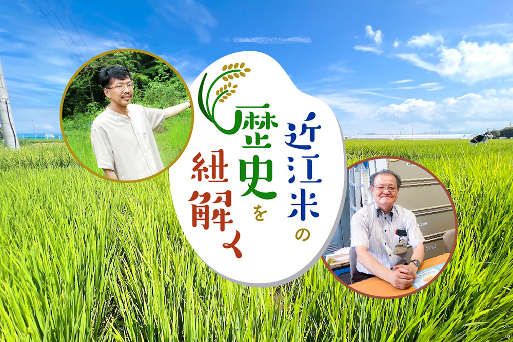 近江米の歴史を紐解く