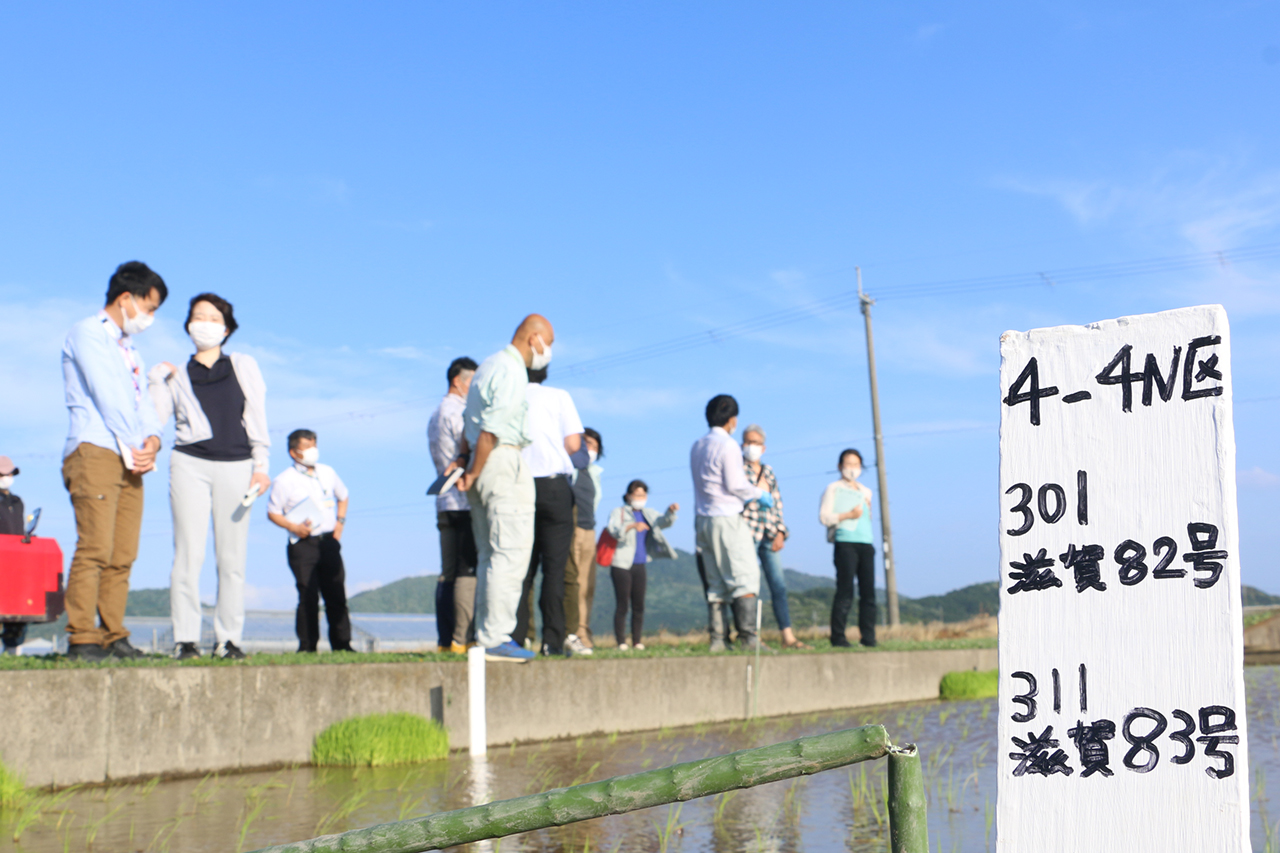404N区 301滋賀82号 311滋賀83号
