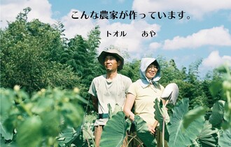 オンラインショップイメージ1
