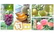 オンラインショップイメージ2