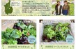 オンラインショップイメージ1