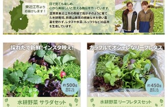 オンラインショップイメージ1