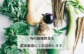 オンラインショップイメージ2