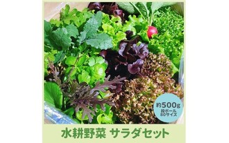 オンラインショップイメージ2