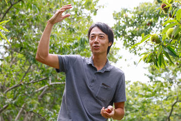 「熟した栗はツヤがあって本当にきれいですよ」と桂田さん