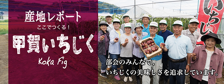 産地レポート ここでつくる！甲賀いちじく
