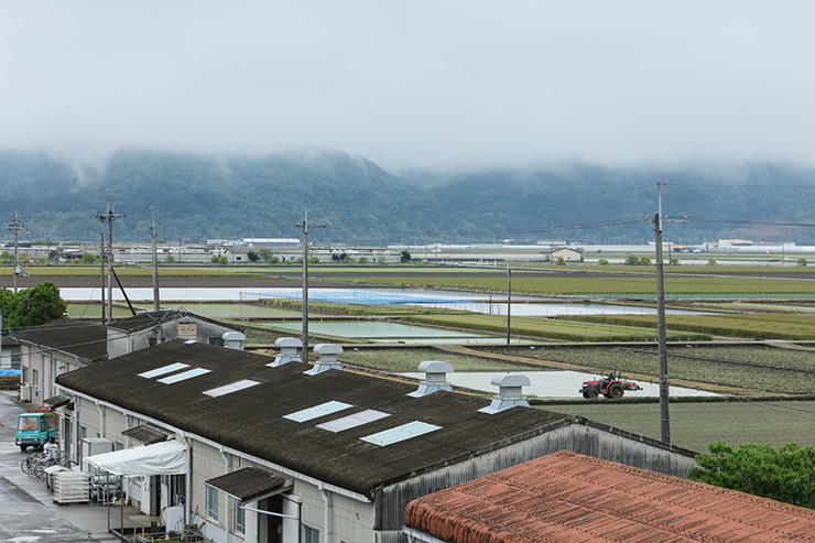 農技センターの屋上からの風景。大中干拓地を一望できます